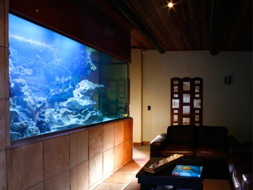 A La Martha'S Air-Port Guest House Порт-Элизабет Экстерьер фото
